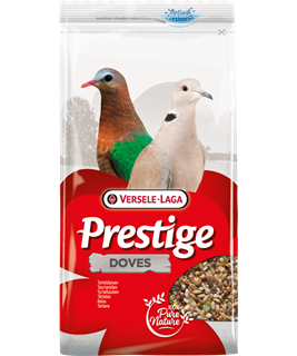 Colombe - Tortore PRESTIGE DOVES VERSELE-LAGA