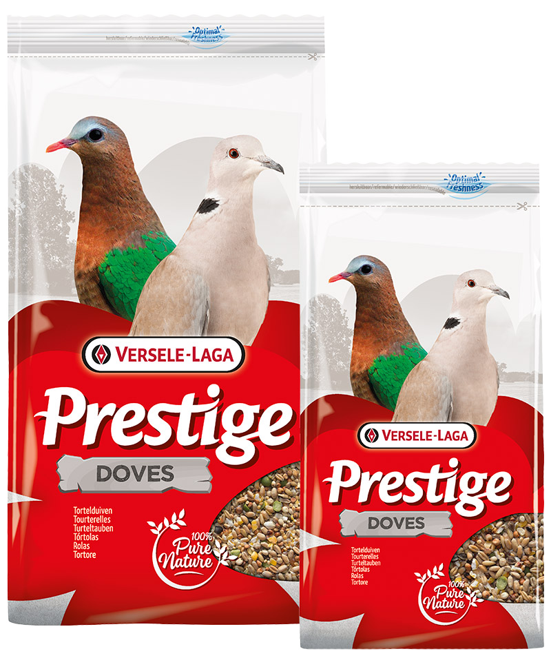Colombe - Tortore PRESTIGE DOVES VERSELE-LAGA