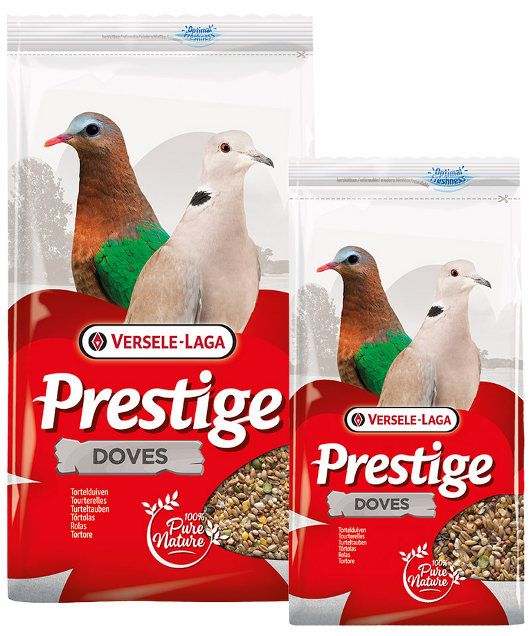 Colombe - Tortore PRESTIGE DOVES VERSELE-LAGA