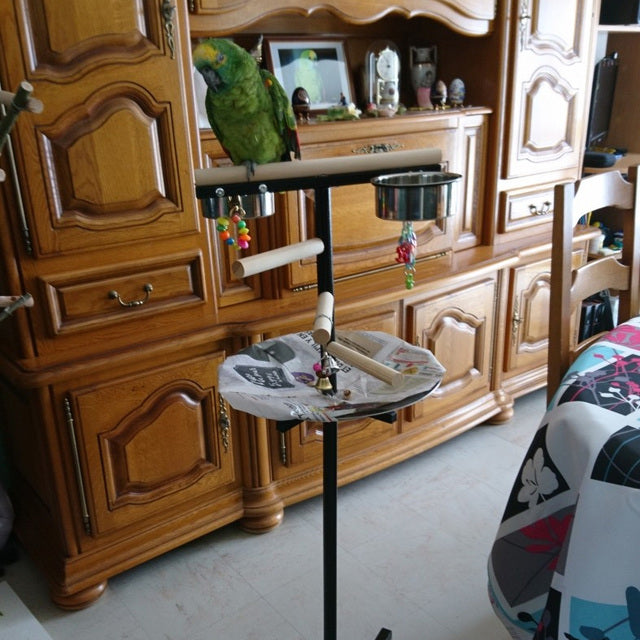 TRESPOLO PER PAPPAGALLI DI PICCOLA E MEDIA TAGLIA BILBO