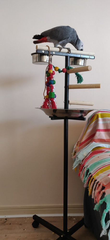 TRESPOLO PER PAPPAGALLI DI PICCOLA E MEDIA TAGLIA BILBO