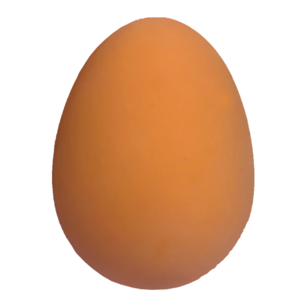 UOVO RIMBALZANTE GIOCO PER CANI