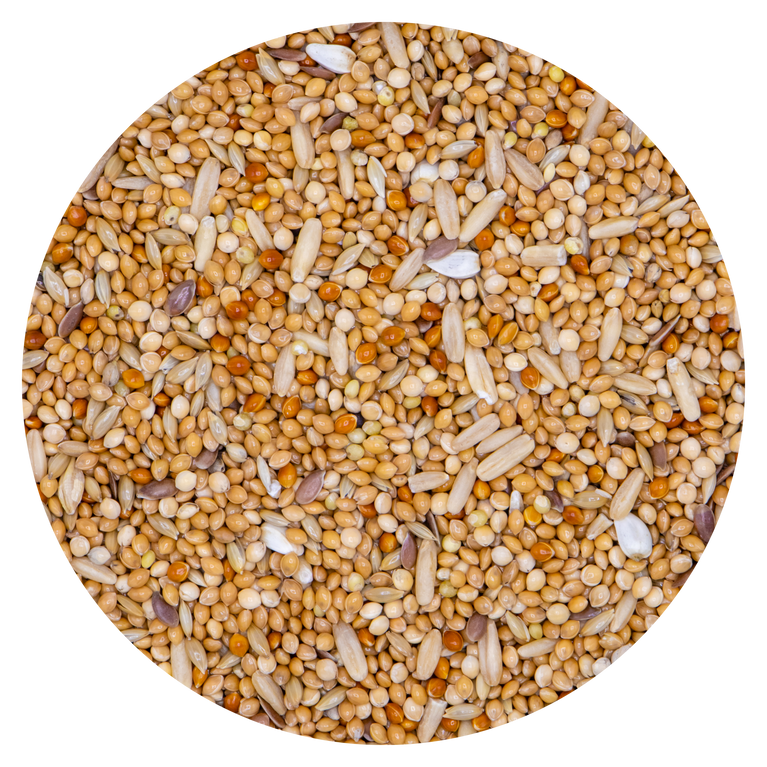 Cocorite Budgies PRESTIGE VERSELE-LAGA 22kg 10% free