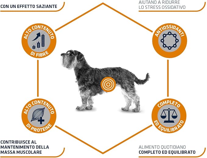 AFFINITY CANE ADVANCE VETERINARY DIETS MINI WEIGHT BALANCE DA 1,5 KG