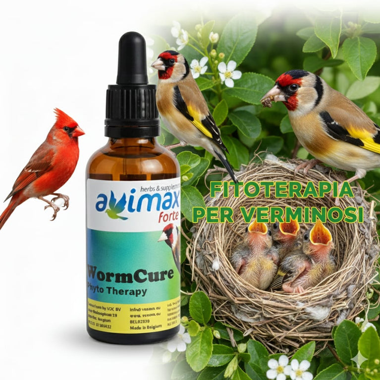 Worm Cure avimax forte 50ml - Sanny Passione Ornitologica