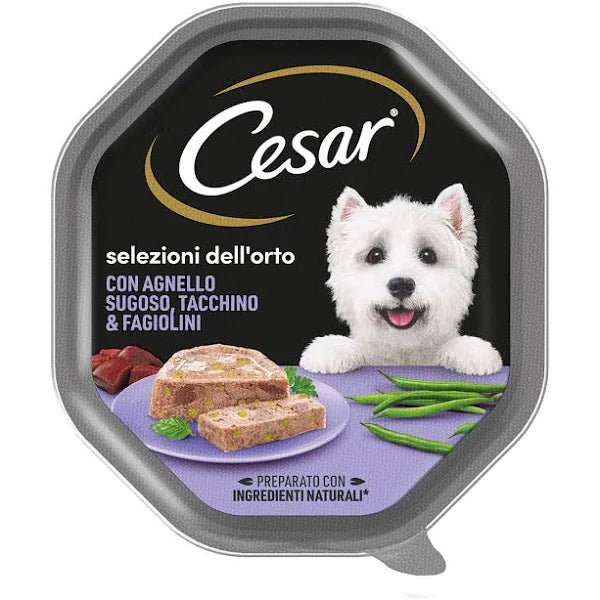 CESAR VASCHETTE DA 150GR