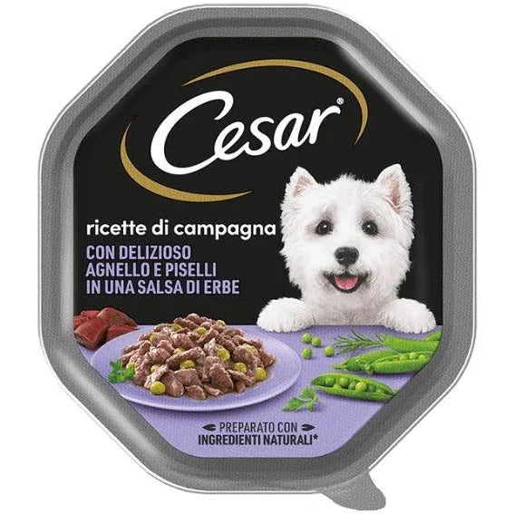 CESAR VASCHETTE DA 150GR