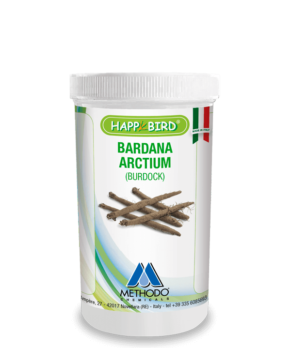 La Bardana è una pianta con tantissime proprietà e dalla riconosciuta attività antibiotica e depurativa. La Bardana aiuta a curare intossicazioni del sangue, infezioni batteriche, problemi dell’apparato urinario, stati di iperglicemia, ha anche attività ipocolesterolemizzante, antireumatica e antibiotica. Contenitore da 100gr