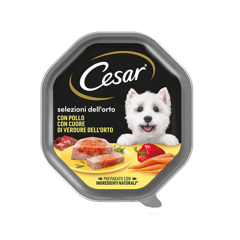 CESAR VASCHETTE DA 150GR