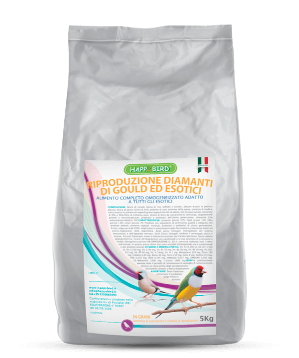 RIPRODUZIONE DIAMANTI di GOULD ed ESOTICI – Grani - Sanny Passione Ornitologica