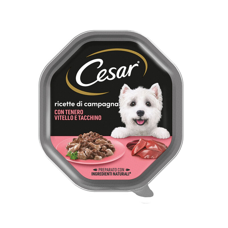CESAR VASCHETTE DA 150GR