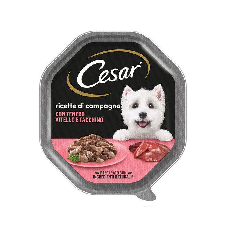 CESAR VASCHETTE DA 150GR