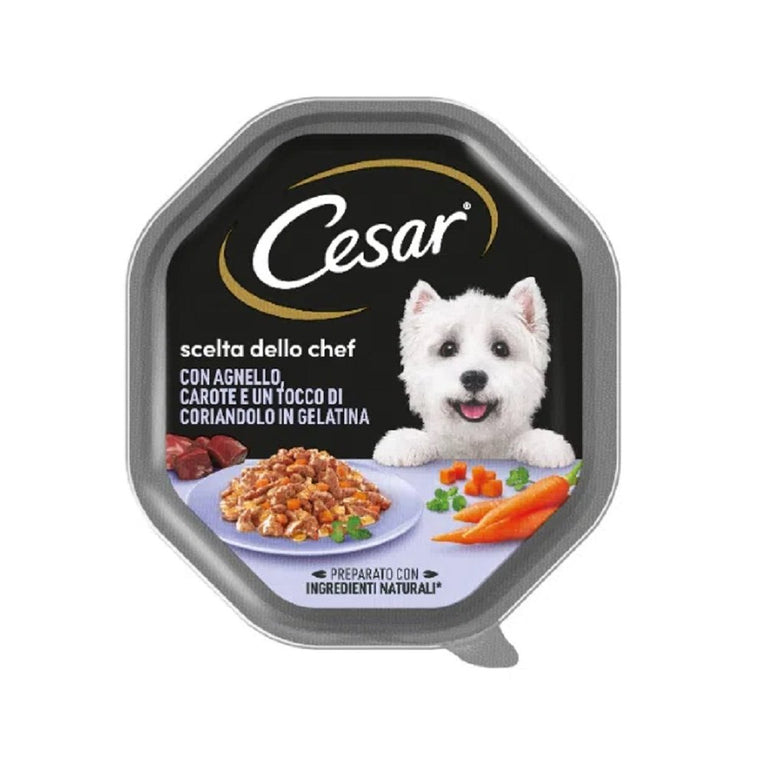 CESAR VASCHETTE DA 150GR