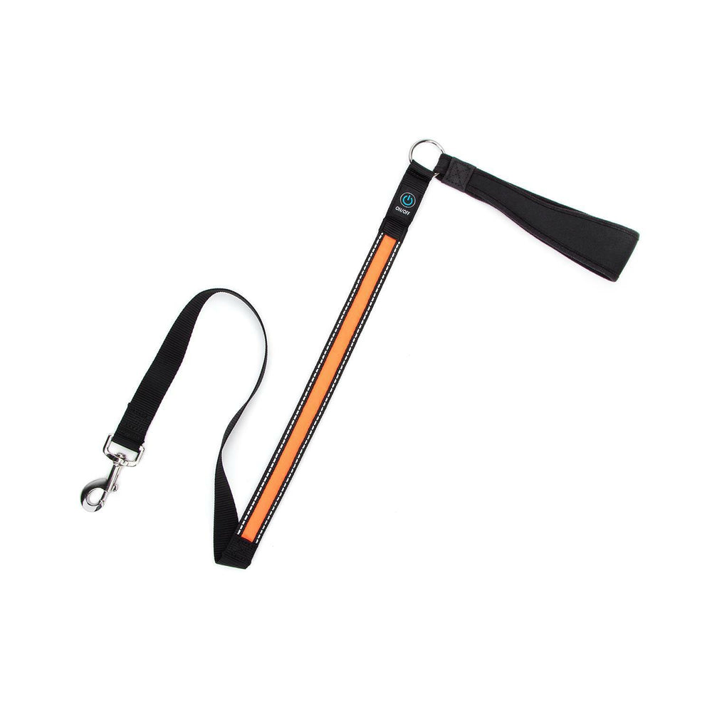 GUINZAGLI LUMINOSI CON LED RICARICABILE USB