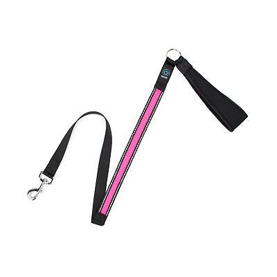 GUINZAGLI LUMINOSI CON LED RICARICABILE USB