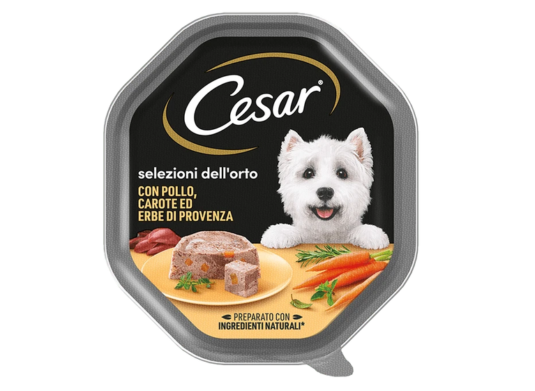CESAR VASCHETTE DA 150GR