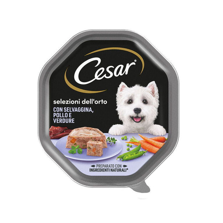 CESAR VASCHETTE DA 150GR