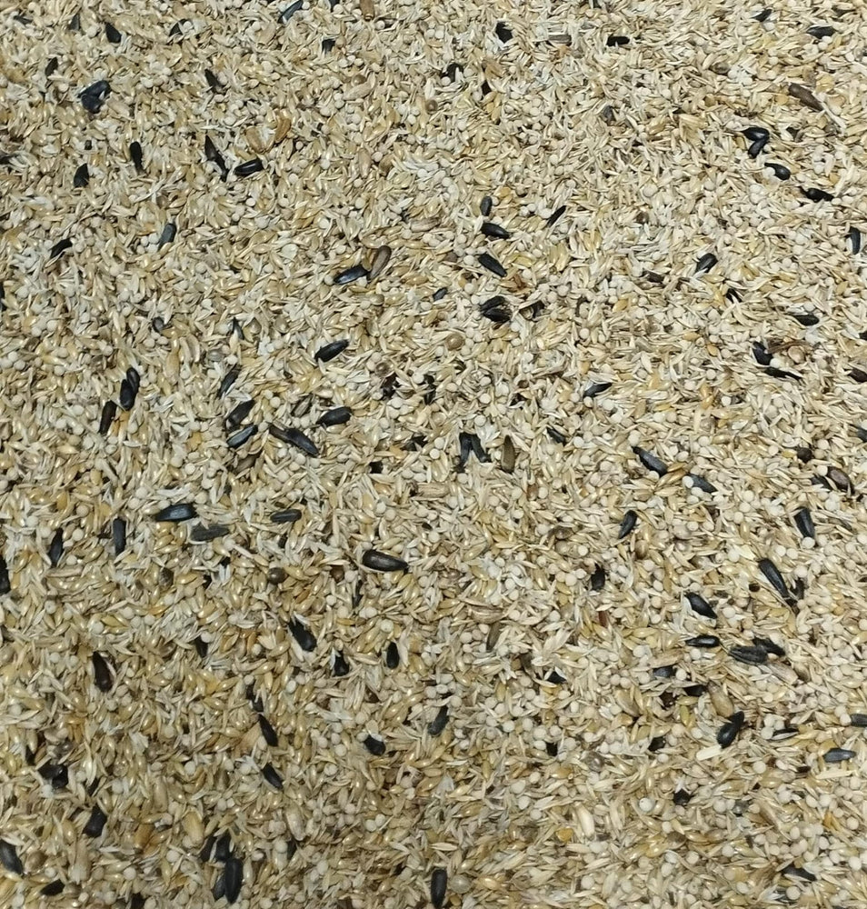 Raggio di sole fly CARDELLINI WHITE –New Mix INDIGENI