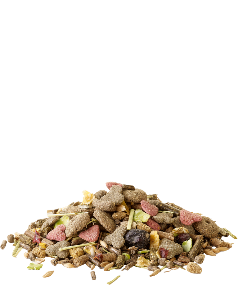 Versele-Laga Crispy Cavia Muesli – Mangime per Porcellini d'India