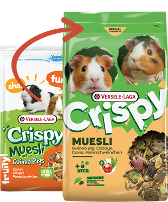 Versele-Laga Crispy Cavia Muesli – Mangime per Porcellini d'India