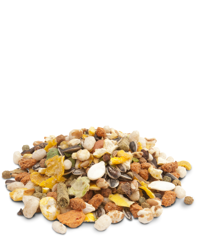 MUESLI - HAMSTERS & CO