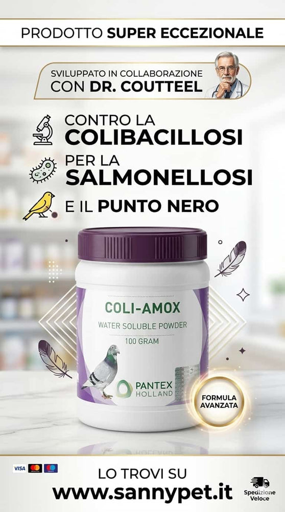 COLI-AMOX Pantex dr. Coutteel 100gr - Sanny Passione Ornitologica