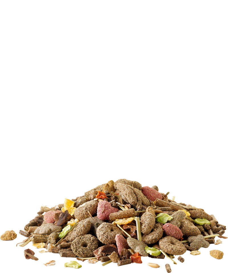 Crispy Muesli Rabbit - Sanny Passione Ornitologica