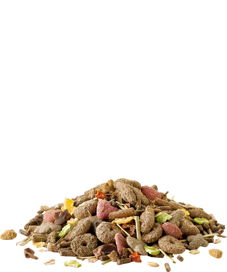 Crispy Muesli Rabbit - Sanny Passione Ornitologica