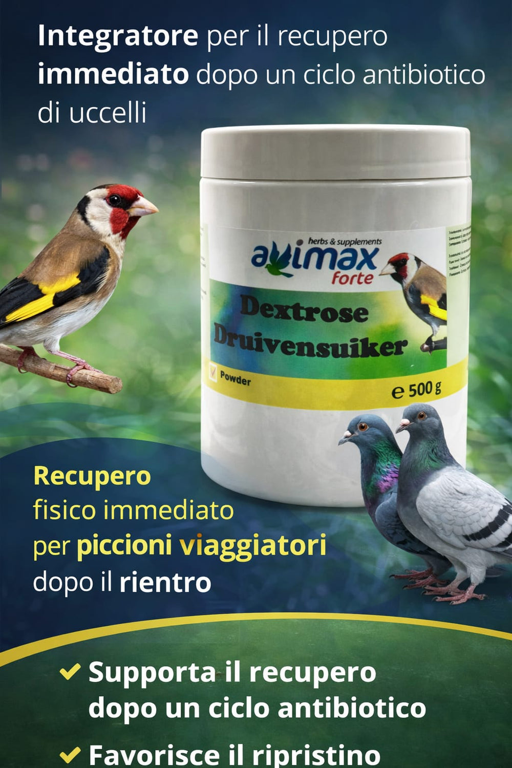 Avimax forte DESTROSIO 500gr - Sanny Passione Ornitologica