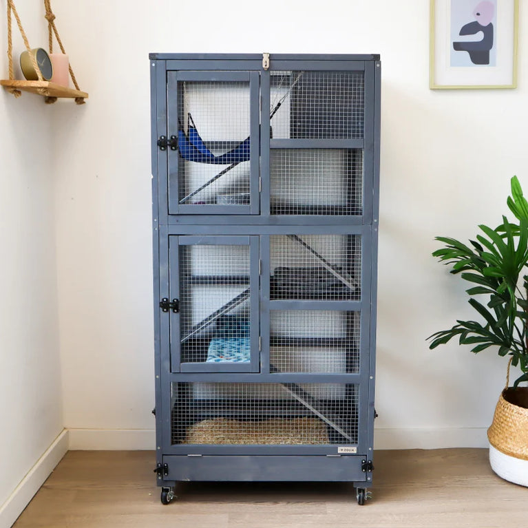 Gabbia per roditori, furetti Gus