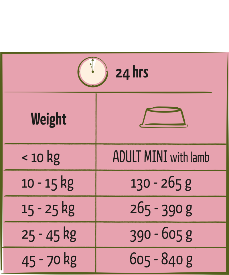 Adult with Lamb all breeds - Sanny Passione Ornitologica