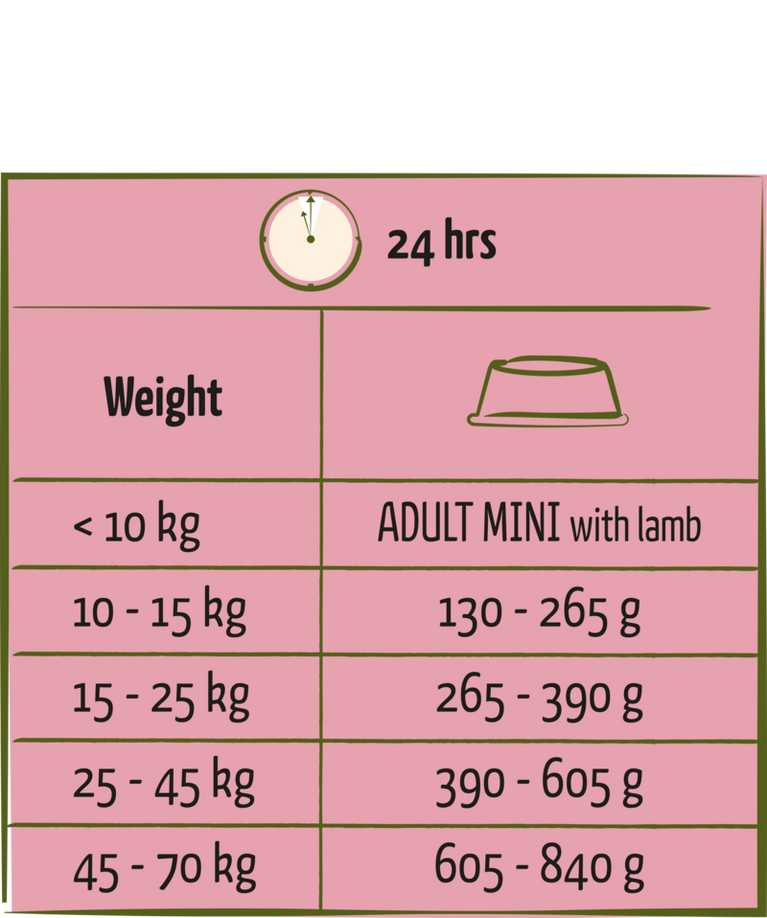 Adult with Lamb all breeds - Sanny Passione Ornitologica