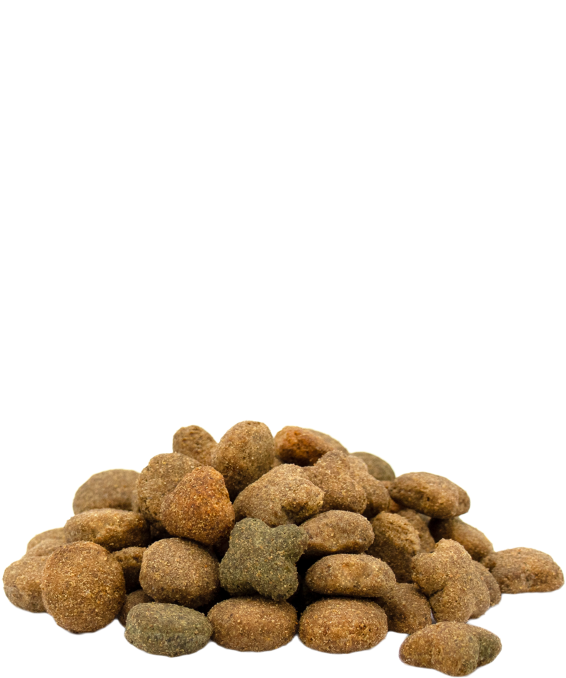 Adult with Beef flavour all breeds - Sanny Passione Ornitologica