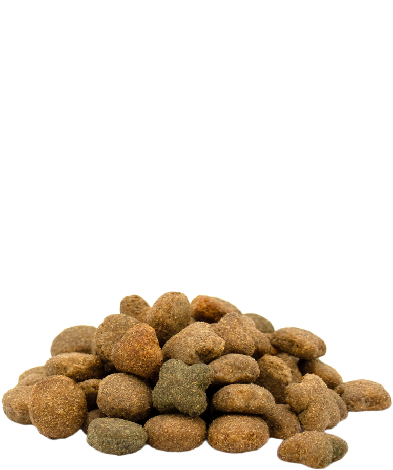 Adult with Beef flavour all breeds - Sanny Passione Ornitologica