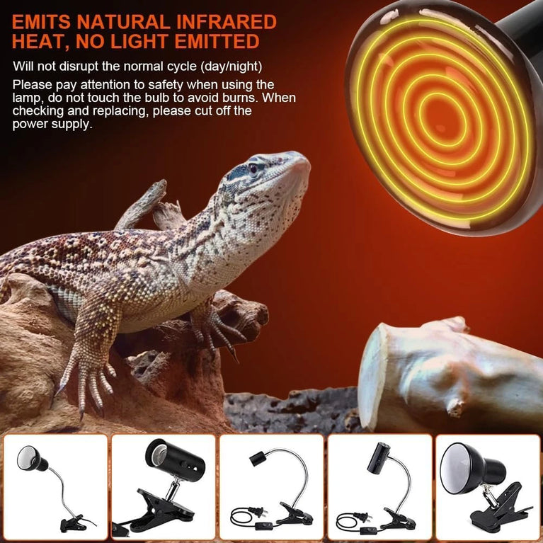 LEDGLE E27 100W trasmettitore riscaldatore Animali Lampadina riscaldatore a Raggi infrarossi in Ceramica, Lampada Rettile per Anfibi, Serpente, Uccelli, Tartaruga, Gatto, Cane
