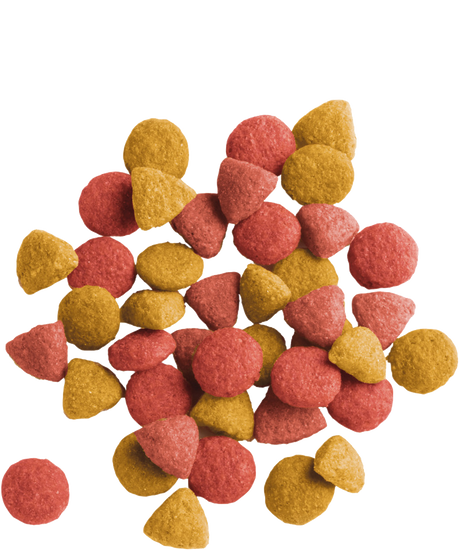 LARA ADULT STERILIZED WITH CHICKEN LIGHT - Sanny Passione Ornitologica
