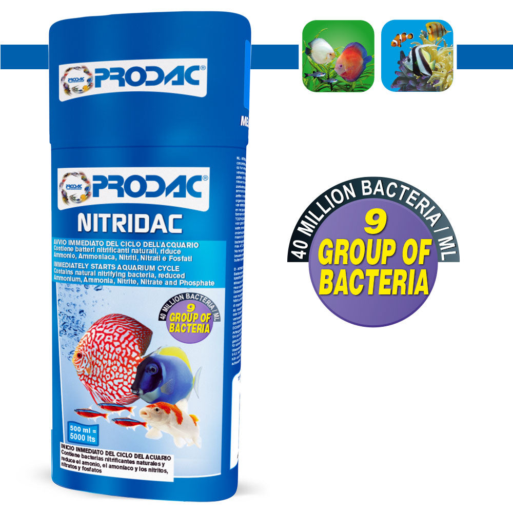 PRODAC NITRIDAC