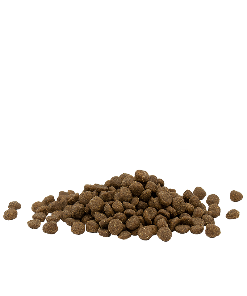 OPTI LIFE ADULT CHICKEN 90% PROTEINE ANIMALI VERSELE-LAGA - Sanny Passione Ornitologica