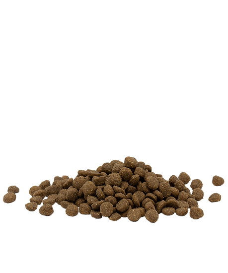 OPTI LIFE ADULT CHICKEN 90% PROTEINE ANIMALI VERSELE-LAGA - Sanny Passione Ornitologica