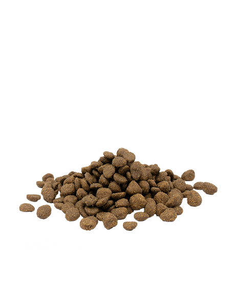 OPTI LIFE ADULT SENSITIVE WITH SALMON 80% DI PROTEINE ANIMALI GRAIN FREE - Sanny Passione Ornitologica