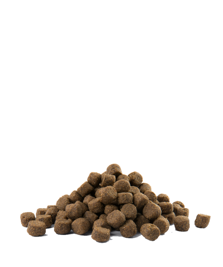 OPTI LIFE ALL BREEDS ADULT SALMON 60% PROTEINE ANIMALI 40% LEGUMI VERSELE-LAGA - Sanny Passione Ornitologica