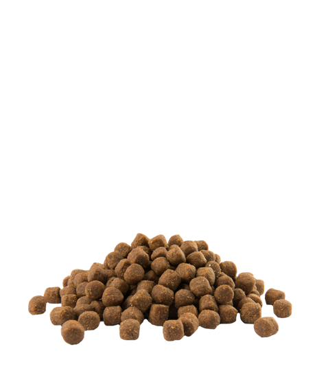 OPTI LIFE ALL BREEDS PUPPY SENSITIVE 81% VERSELE-LAGA - Sanny Passione Ornitologica