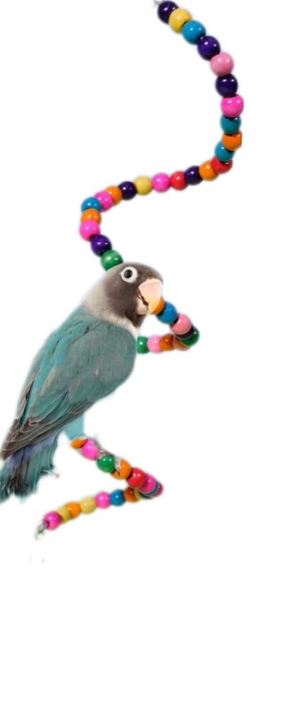 GIOCO UCCELLI