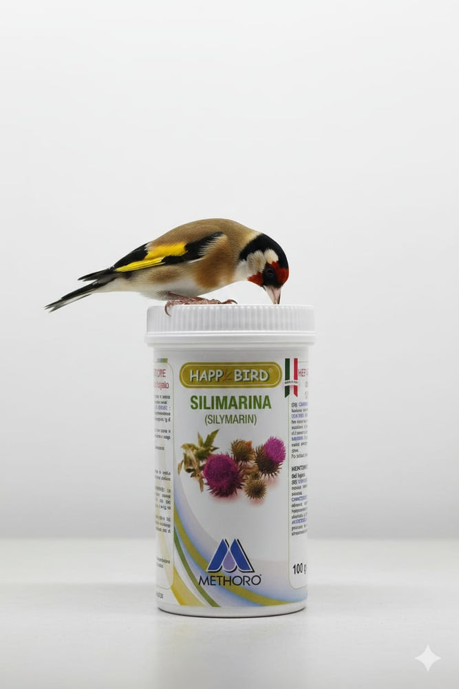 SILIMARINA IN POLVERE HEPATOPROTECTOR DISINTOSSICANTE 100% NATURALE 100gr