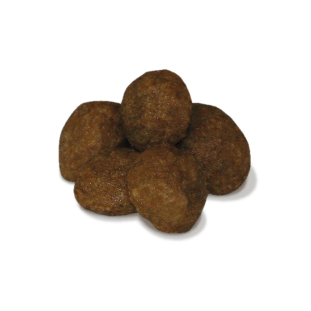 UNICA CLASSE CROCCANTINI AGNELLO ADULT STERILIZZATO 1-12 ANNI