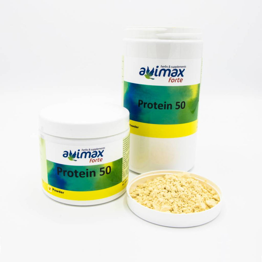 PROTEIN 50% AVIMAX forte herb & supplements
