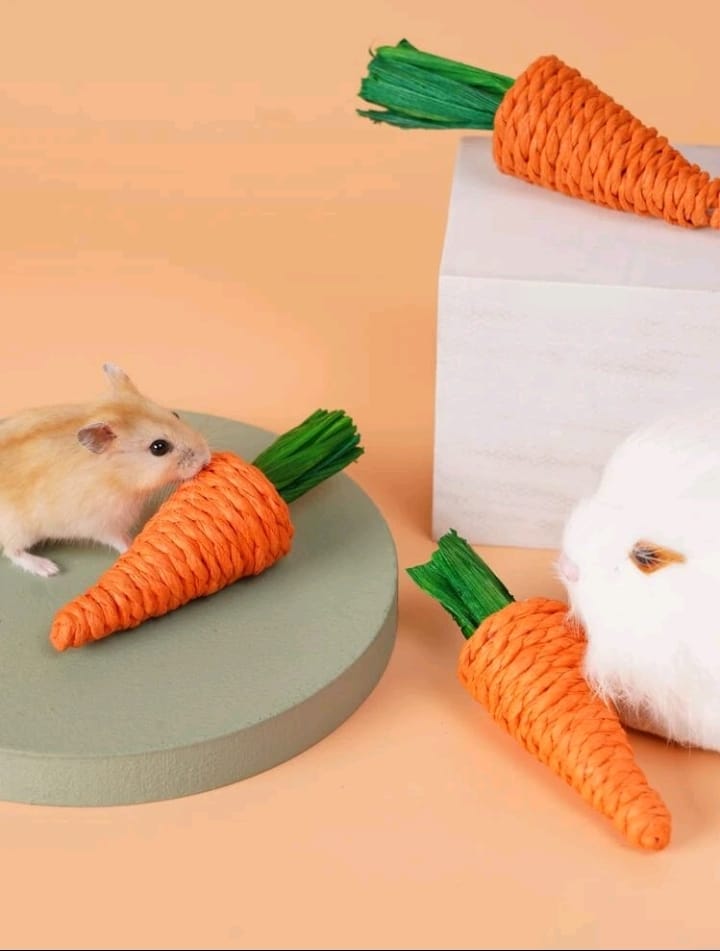 CAROTA DI PAGLIA PER CRICETI CONIGLI E CAVIE