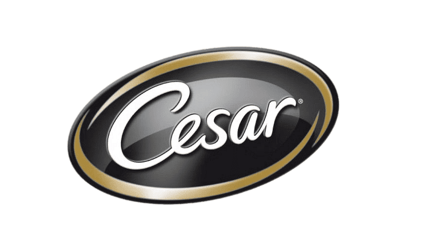 Cesar