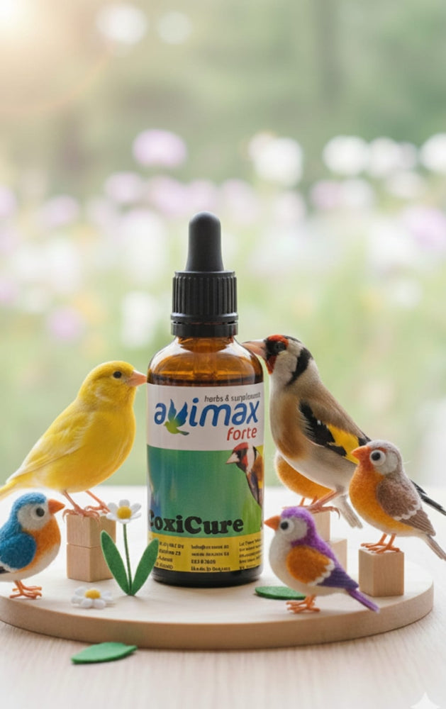 AVIMAX FORTE COXI CURE trattamento coccidiosi