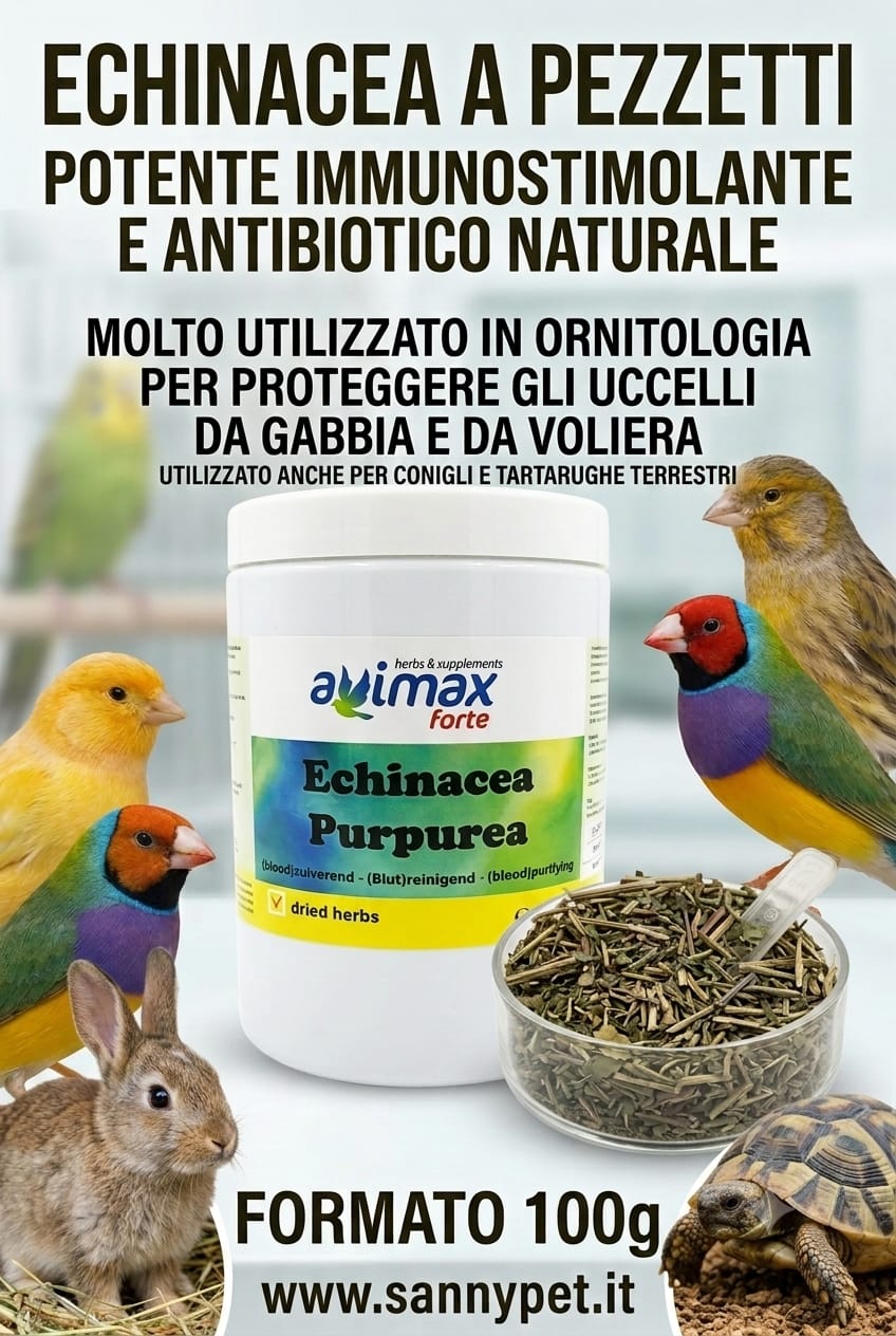 Avimax Echinacea Purpurea (Purificante) 100gr - Sanny Passione Ornitologica